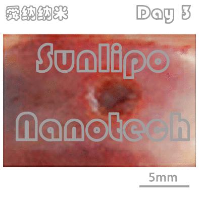 神经细胞支架（研发）