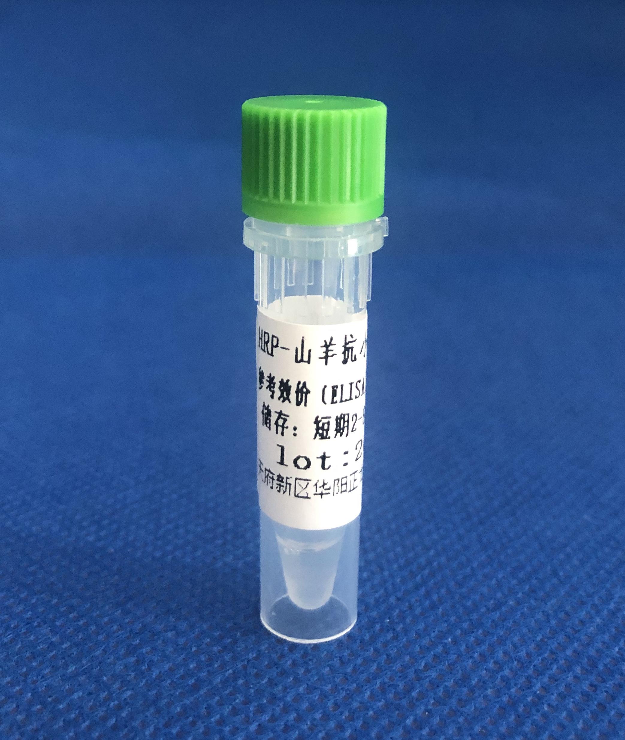 HRP-羊抗小鼠IgG