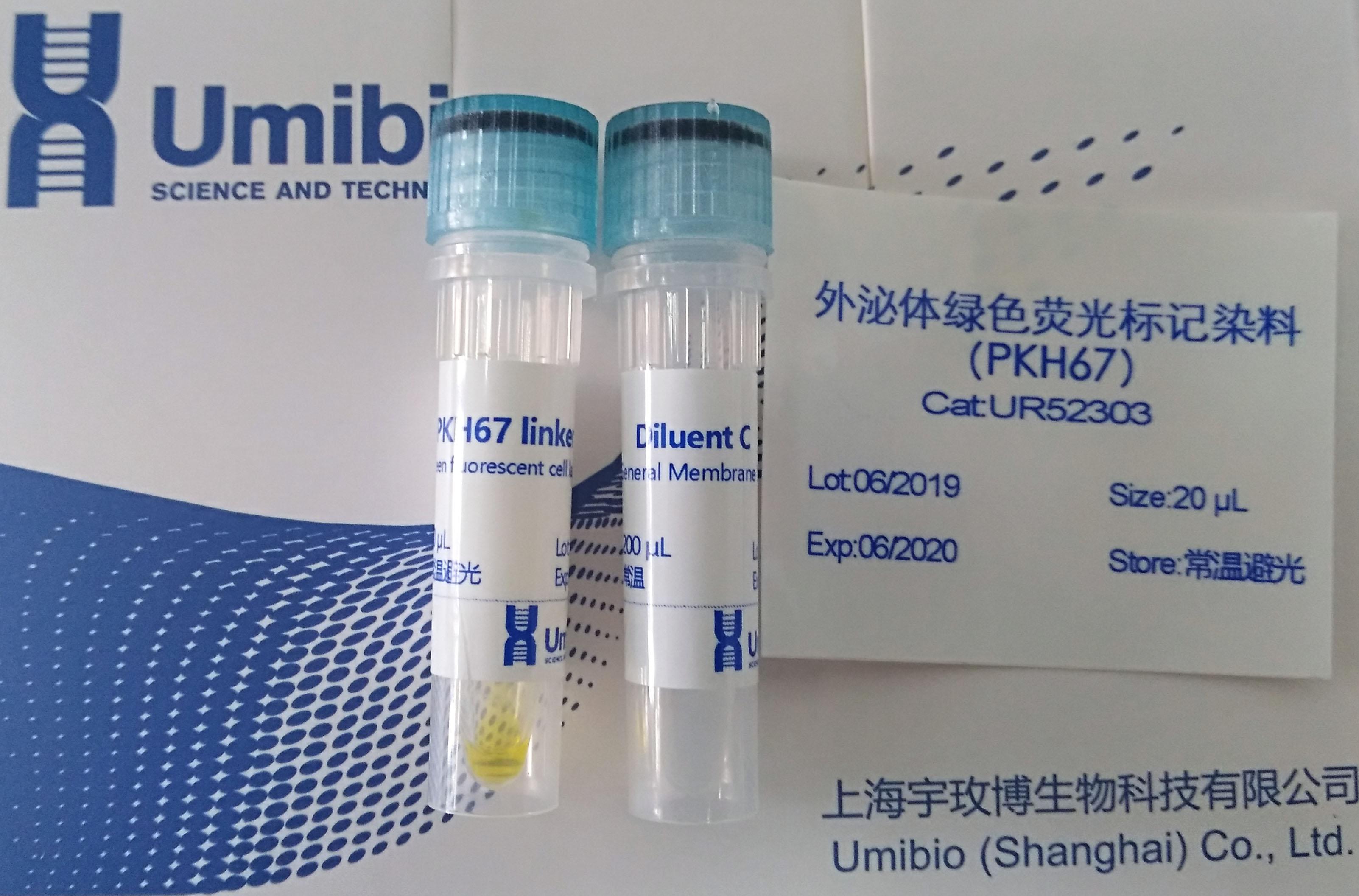 外泌体绿色荧光标记染料（PKH67）