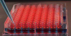 美国原装进口96孔细胞培养板现货特价