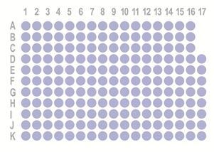 多器官正常90点组织芯片HOrgN090PT02