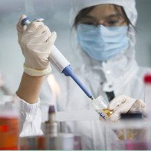 CRISPR /Cas9基因敲除细胞系