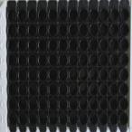 小鼠干扰素诱导T-细胞α亚族趋化剂(ITaC)检测试剂盒(化学发光免疫分析法)