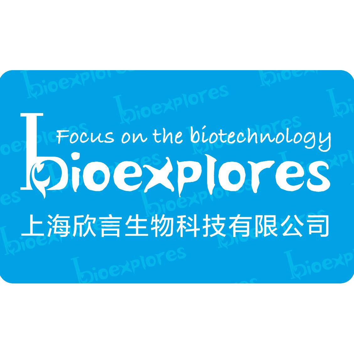 外泌体鉴定-蛋白