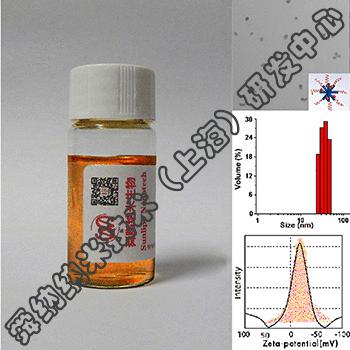 功能核酸-USPIO共载纳米粒（诊疗功能载体）