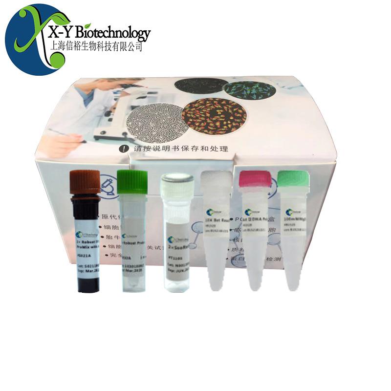 No DMSO, no serum cell freeze.	无DMSO无血清细胞冻存液