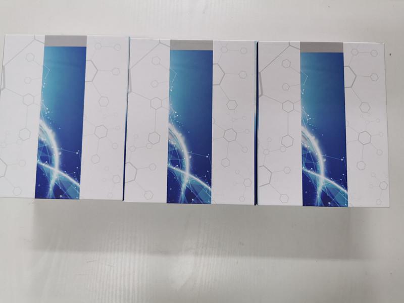 血管紧张素IIELISA检测试剂盒