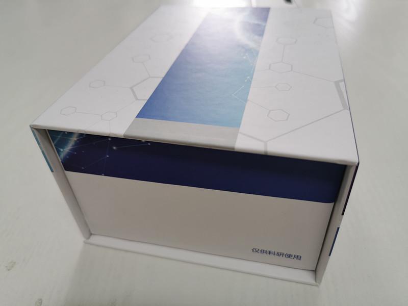 小鼠骨成型蛋白受体ⅡELISA检测试剂盒