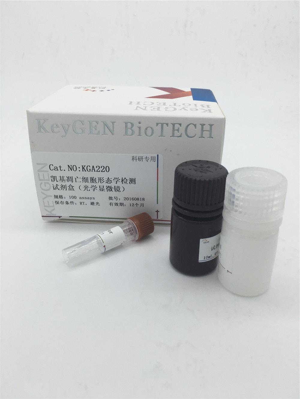 细胞凋亡形态学检测试剂盒