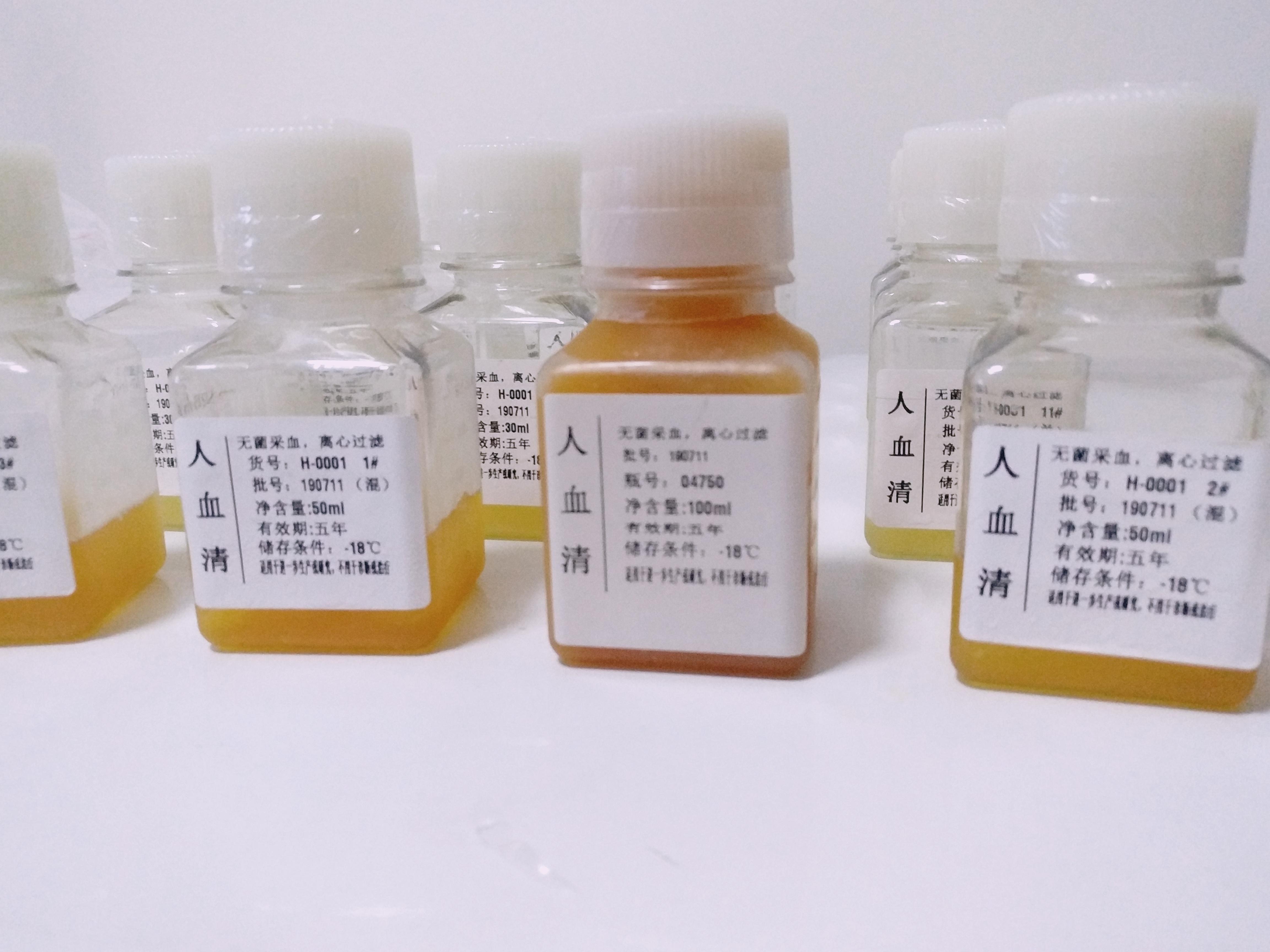 正常人血清