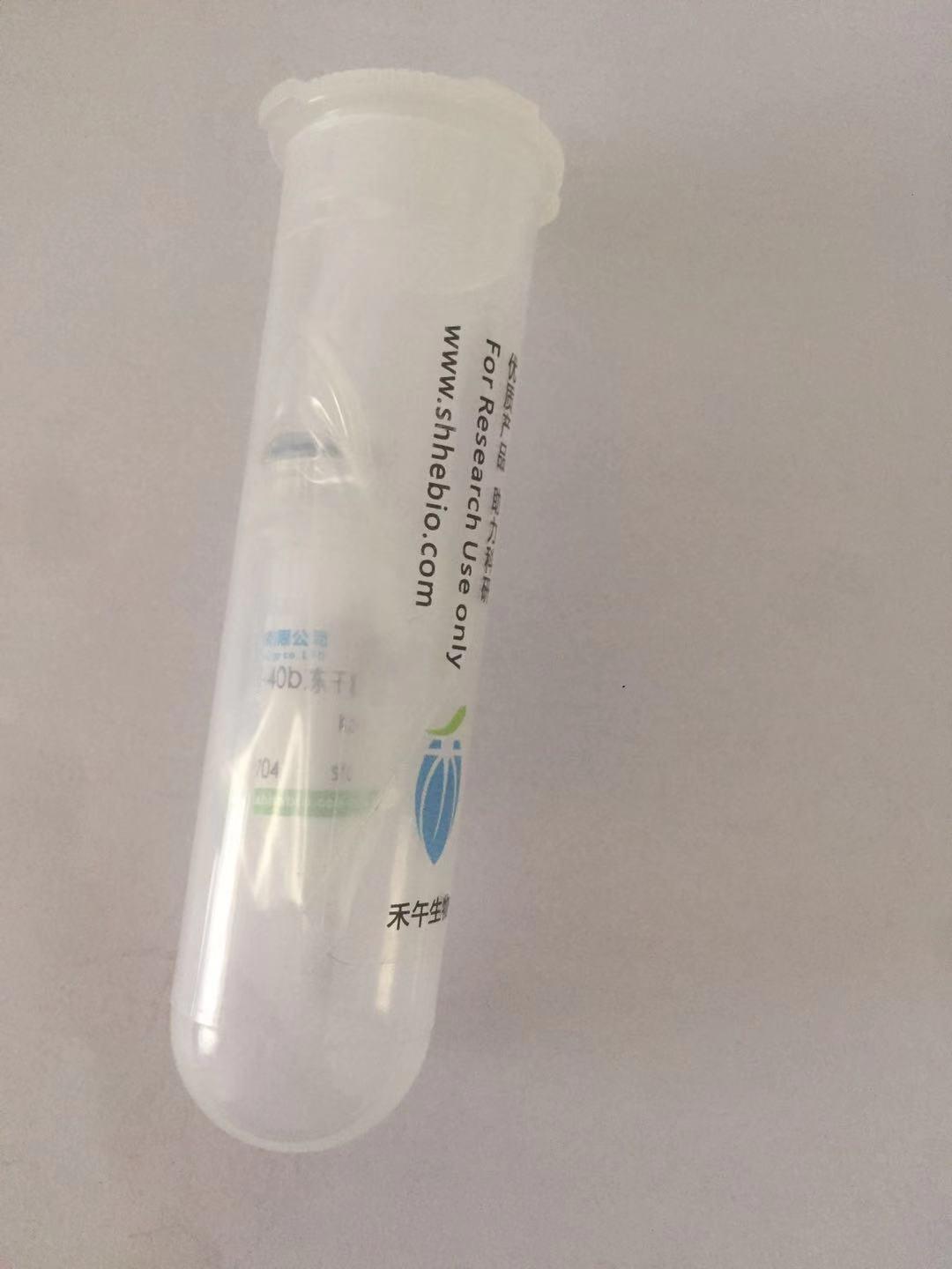 pcDNA-Ikka-HA WT小鼠基因质粒