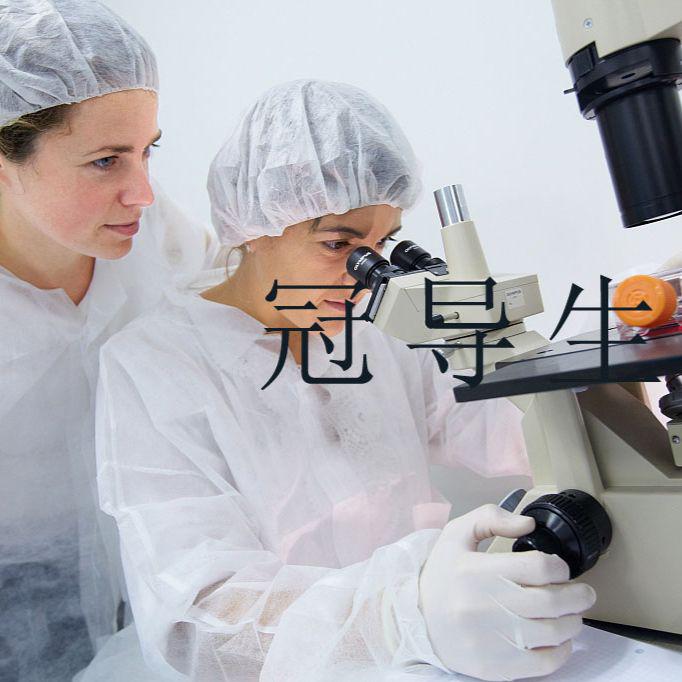 TGHAVSMC传代好：人血管平滑肌细胞|完全培养基