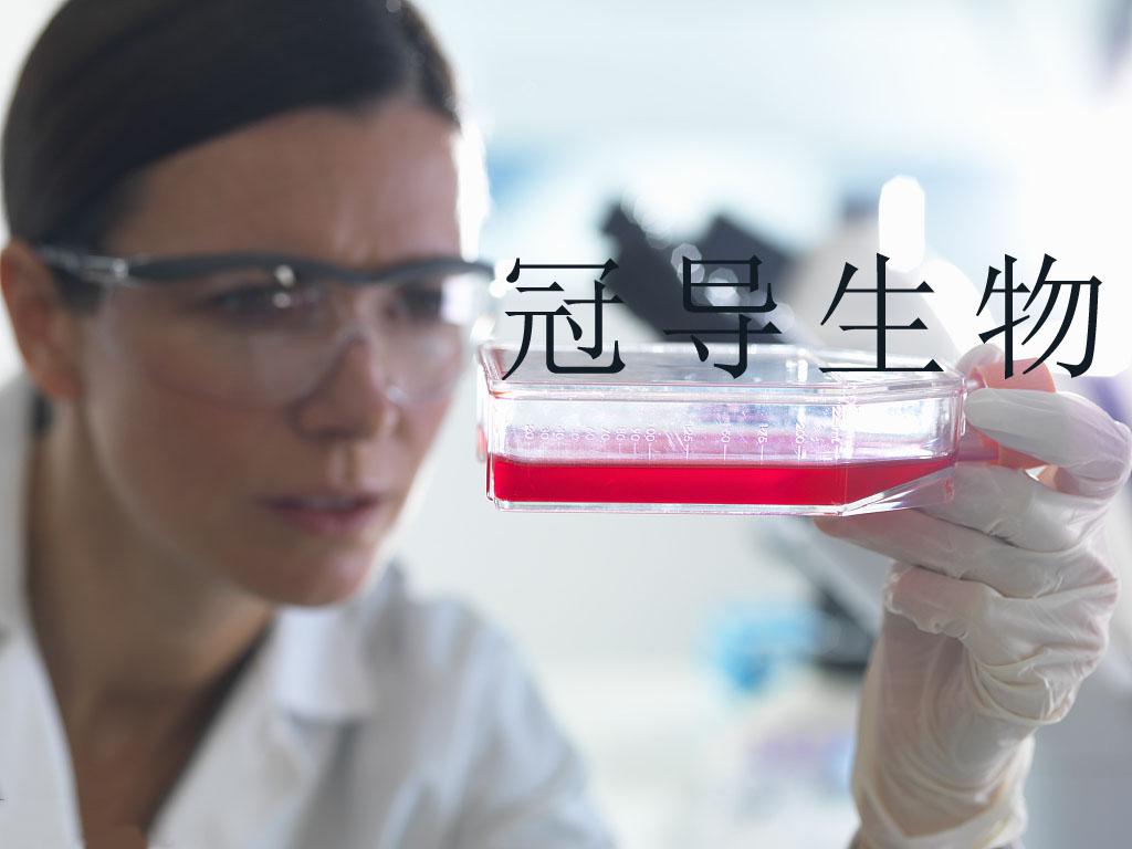 RMa-bm Cell Line||大鼠巨噬细胞系