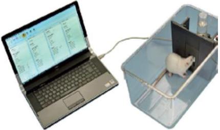 面部疼痛测量仪