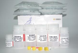 通用RNA提取试剂盒（离心柱型）