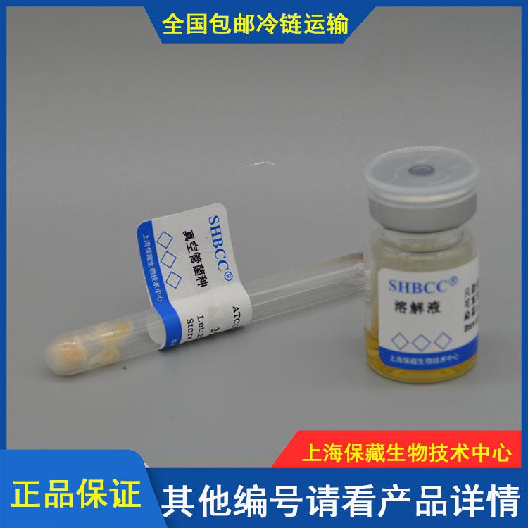  黄曲霉 编号SHBCC D10950