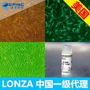 血管平滑肌细胞