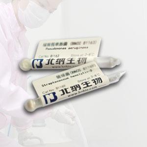 单增李斯特氏菌BNCC185986