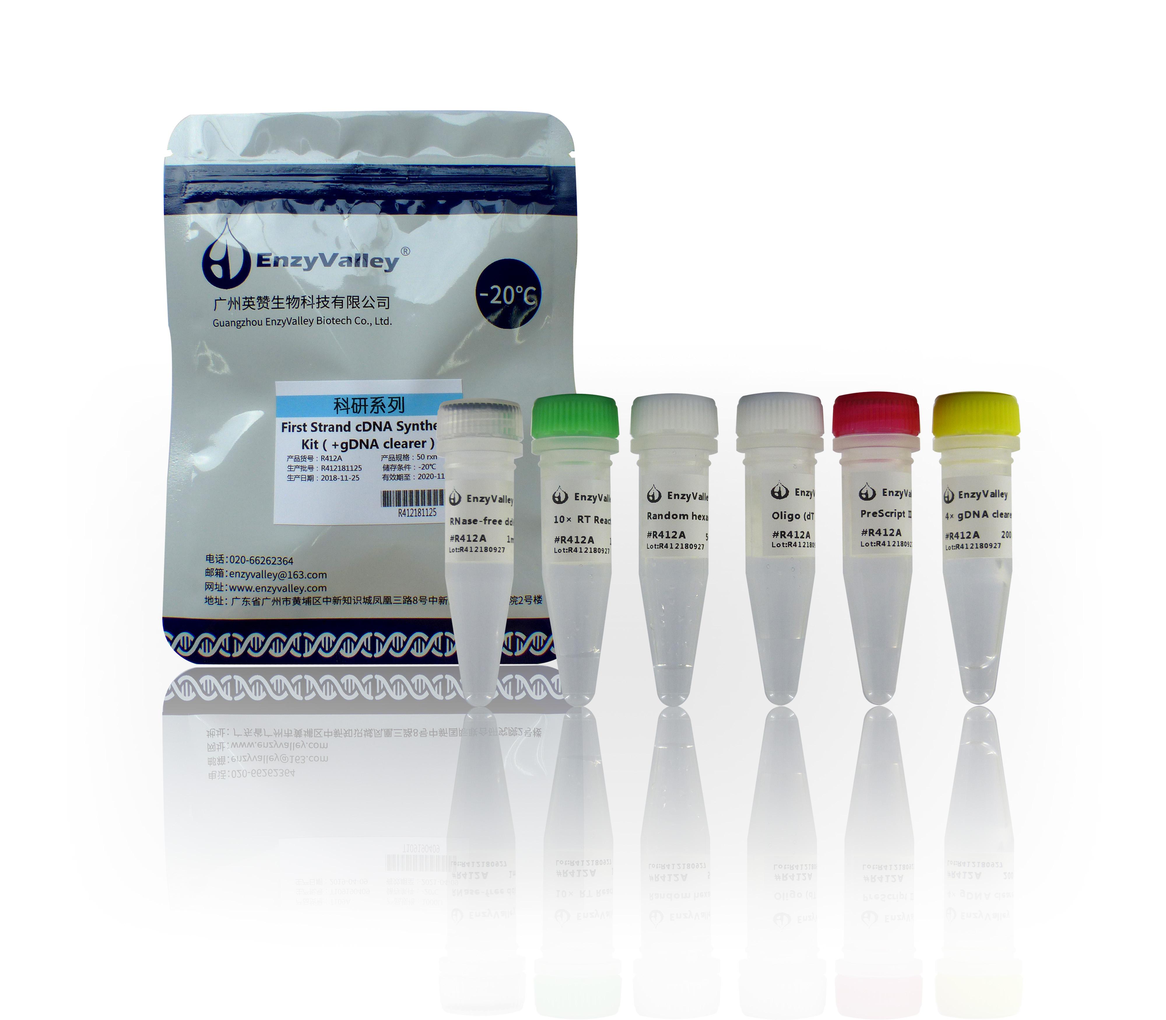 cDNA第一链合成试剂盒：First Strand cDNA Synthesis Kit （+gDNA clearer）