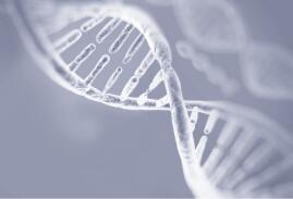 Cetrorelix Acetate (醋酸西曲瑞克)