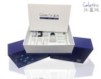 大鼠表皮生长因子试剂盒酶联免疫分析法（ELISA）