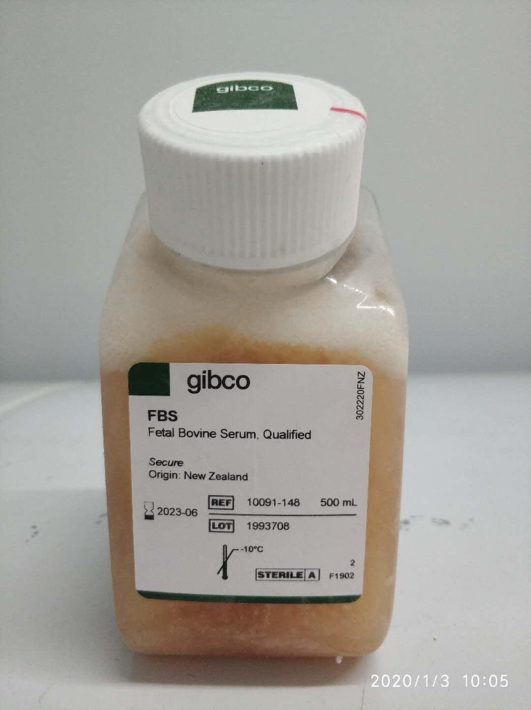 新西兰胎牛血清