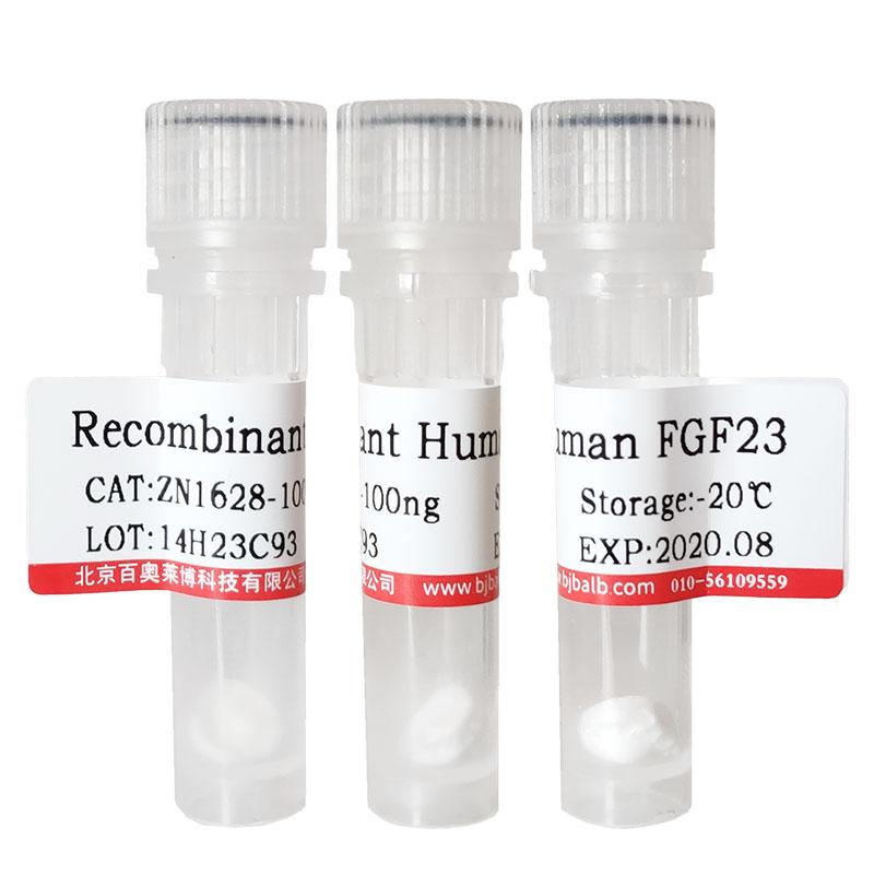 重组大鼠EGF北京品牌