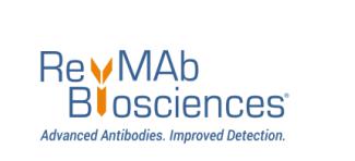 Anti-CD34 (C-term) Rabbit Monoclonal Antibody [RM300]