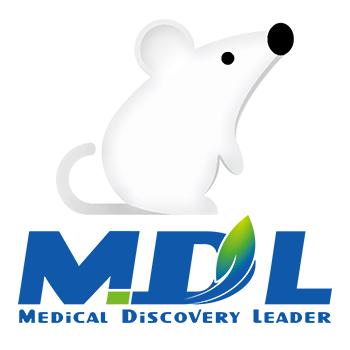 胶质瘤细胞模型