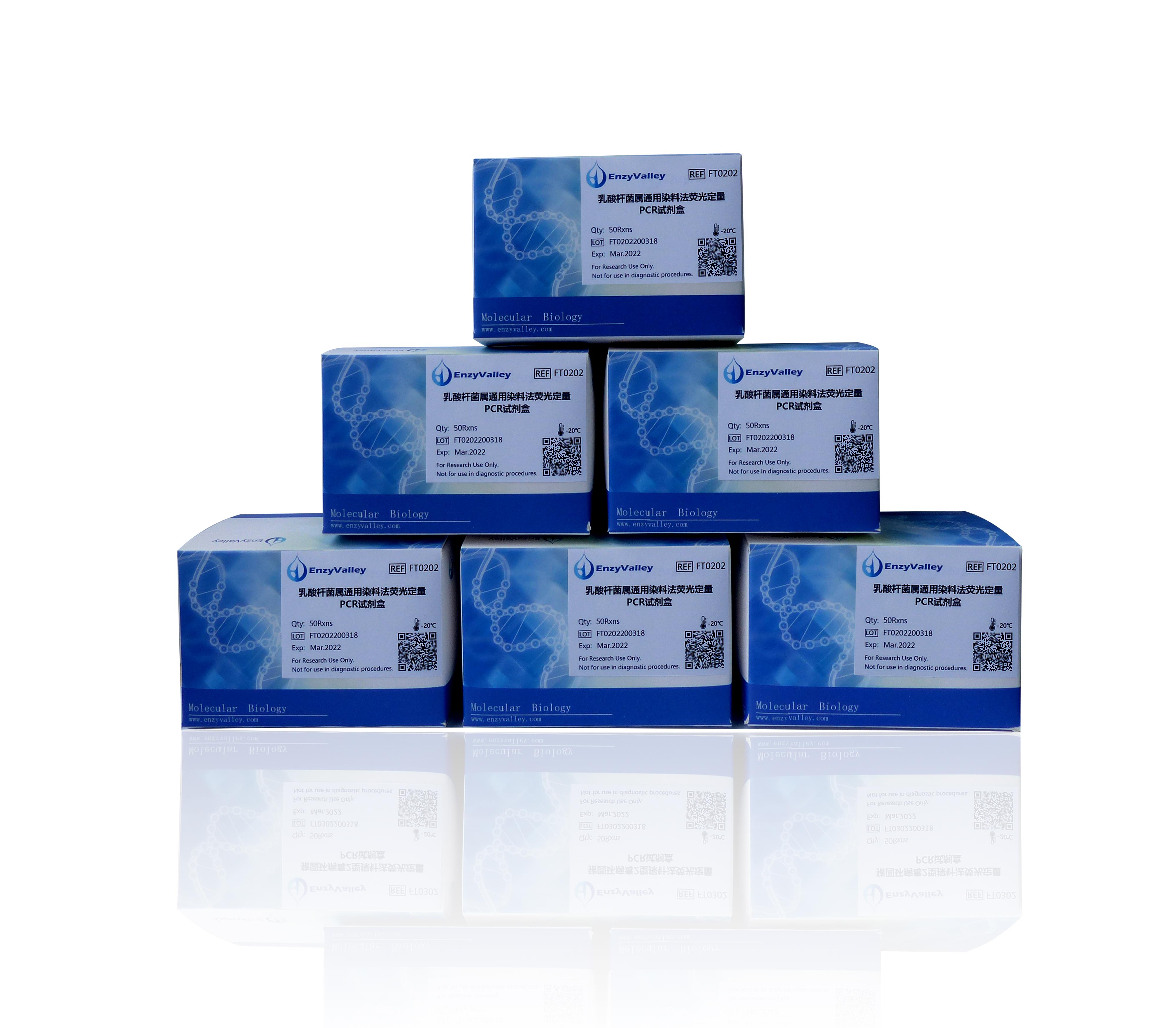 乳酸杆菌属通用染料法荧光定量PCR试剂盒