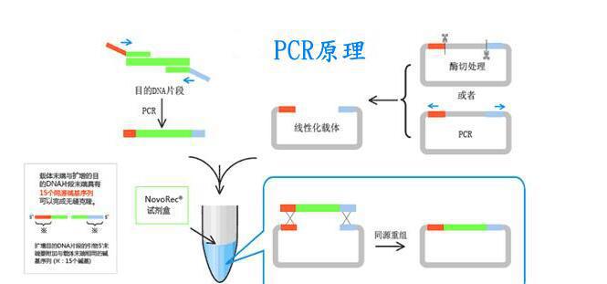 木鼠布鲁氏菌探针法荧光定量PCR试剂盒规格