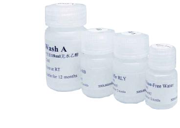 caspase-8抑制剂药物筛选试剂盒