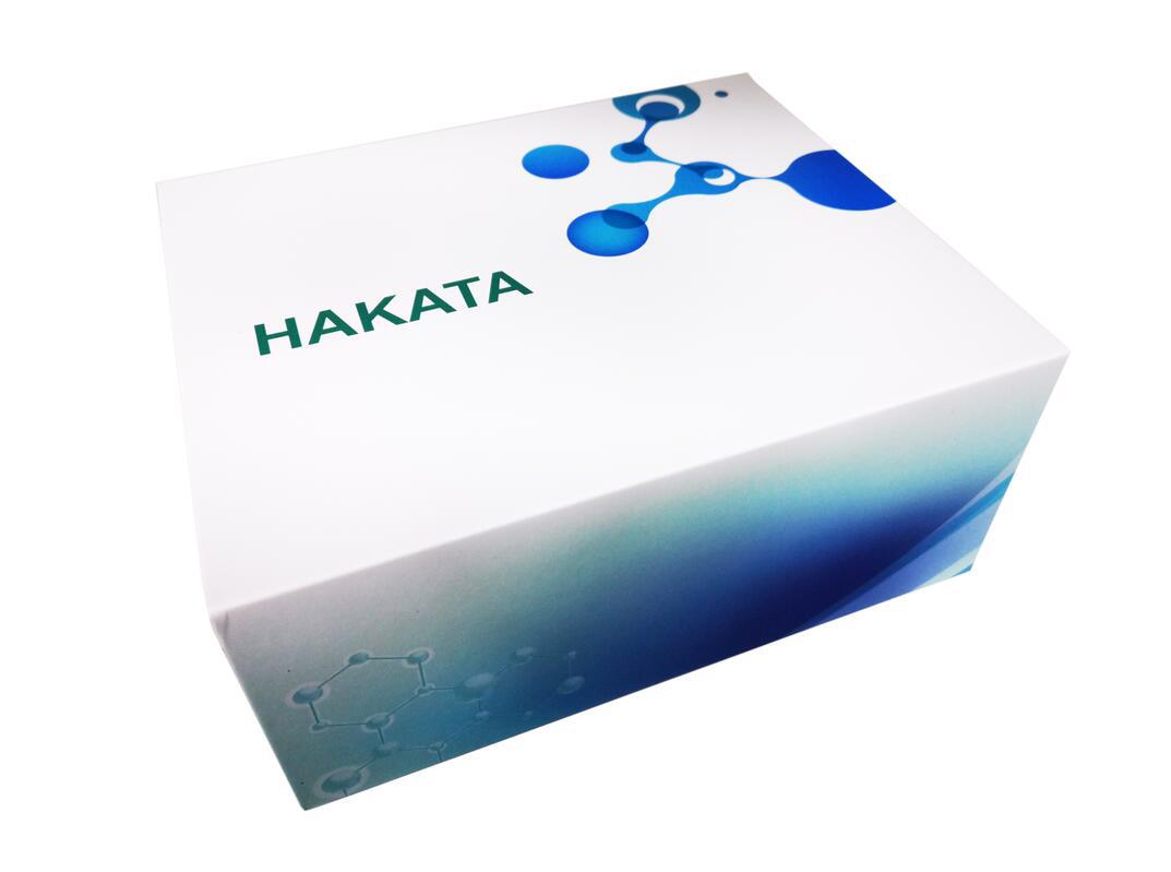 Rat IgA - fiber connection protein in mice (IgA - FN) ELISA Kit