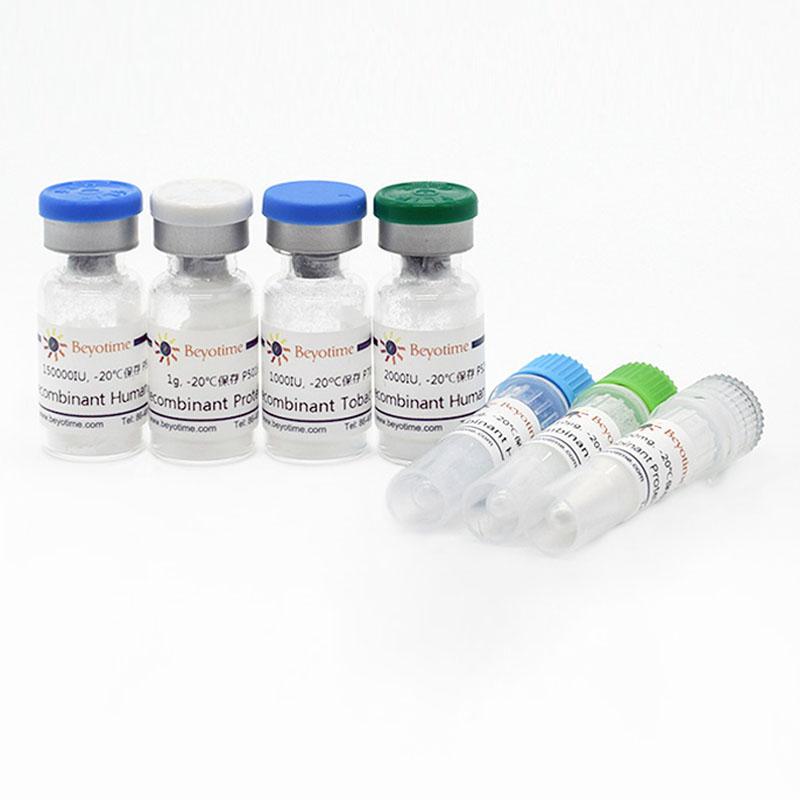 Recombinant Human EG-VEGF