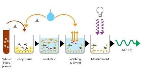 兔抗人IgG(Fc）(纯化)
