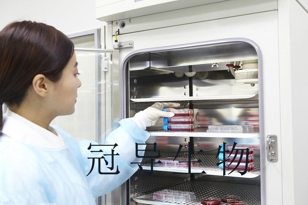 HuT 78 人T淋巴瘤悬浮细胞|完全培养基