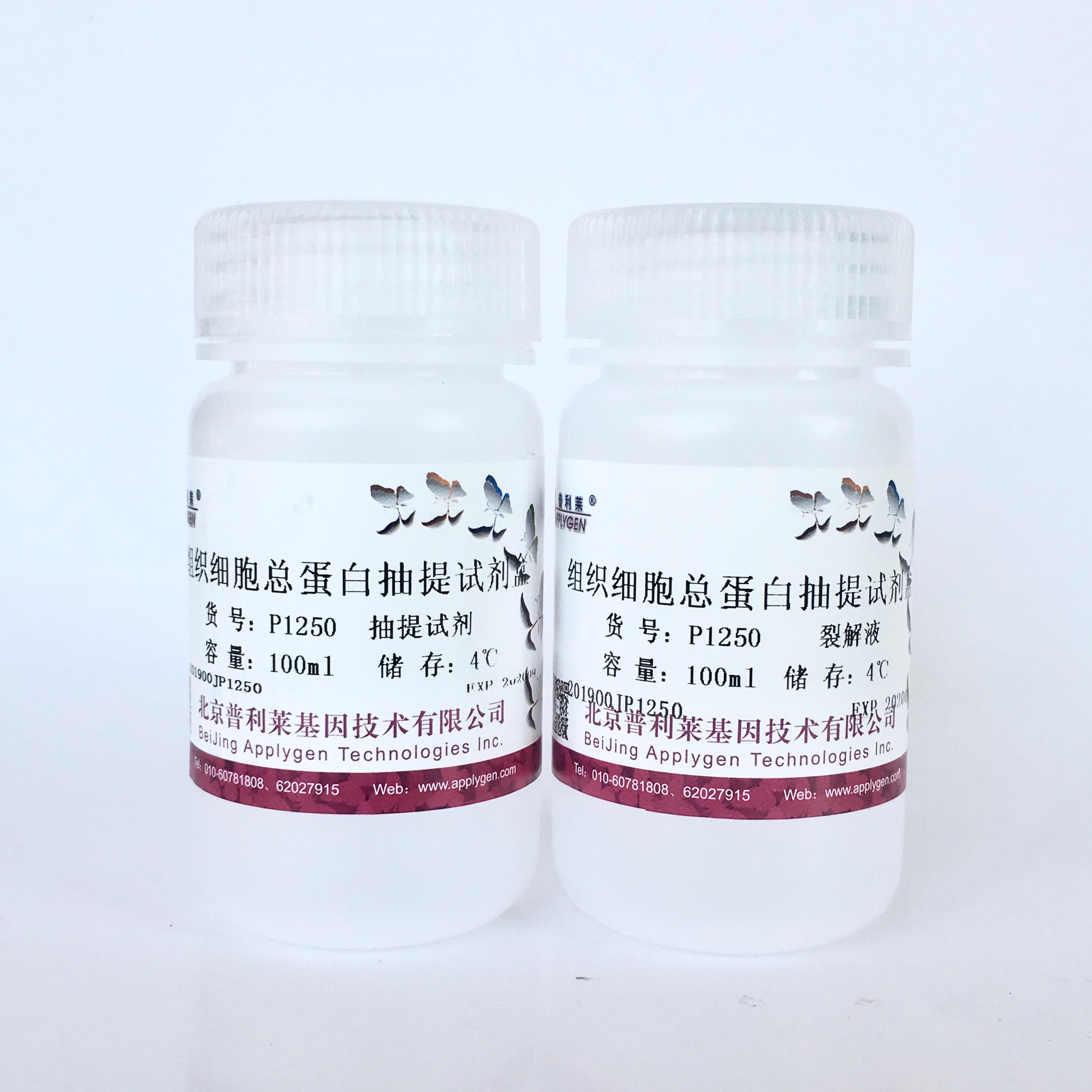 组织细胞蛋白抽提试剂盒  P1250