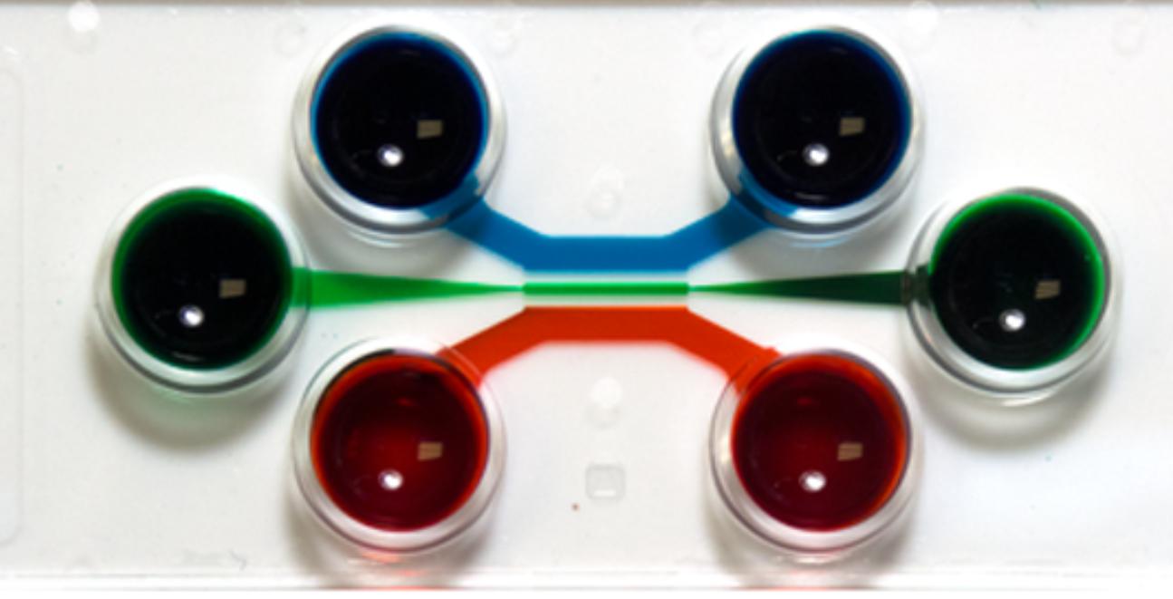 神经元细胞培养ChipTray™ 