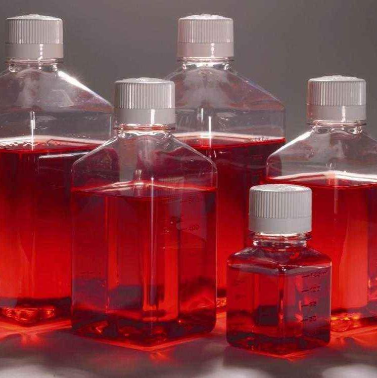 人脐带间充质干细胞无血清培养基