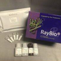 新冠抗体结合抑制分析试剂盒