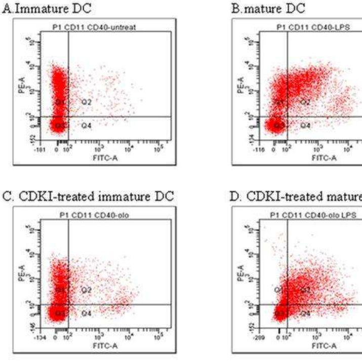 流式细胞仪检测
