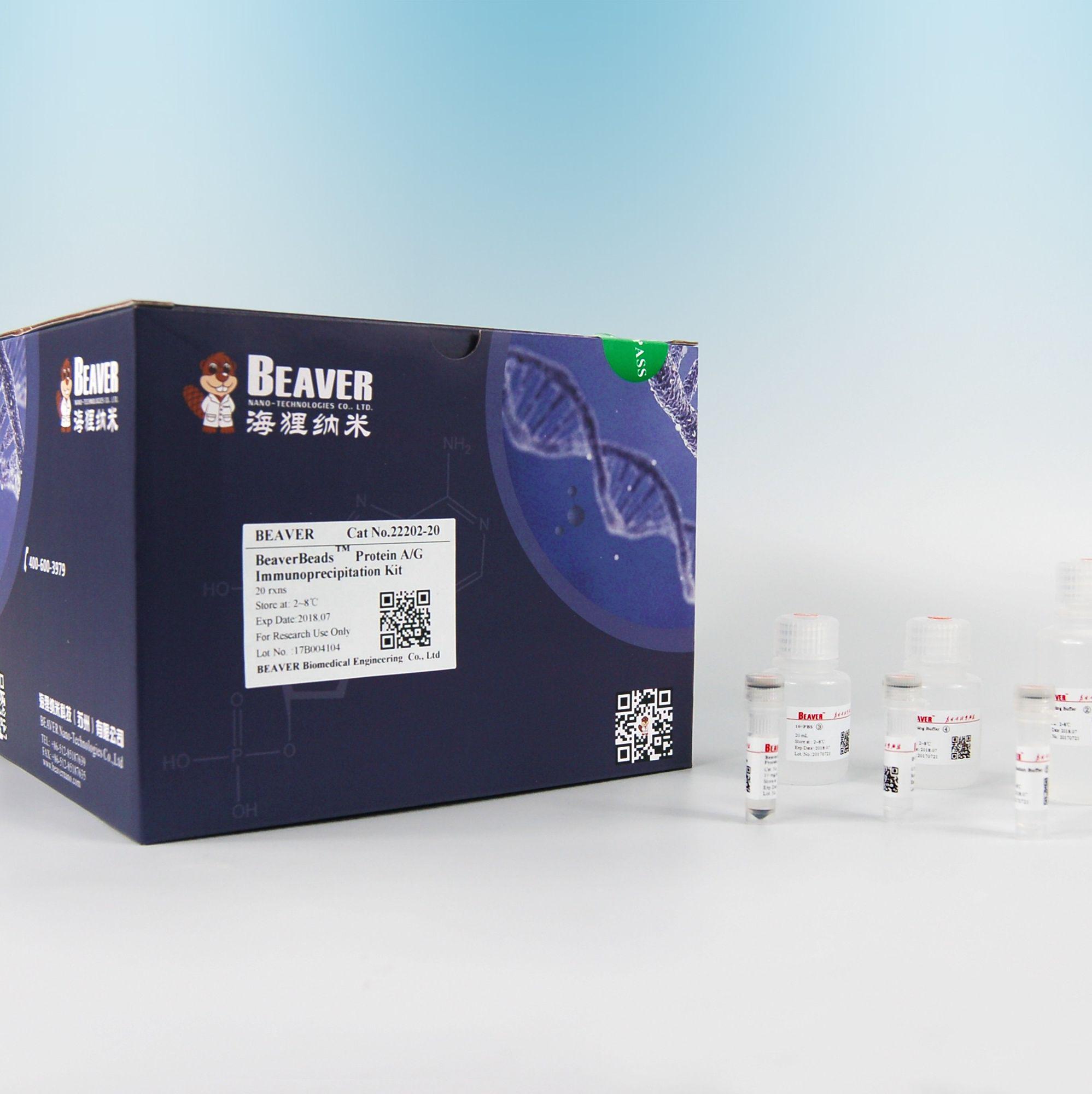 BeaverBeads™ Protein A/G 免疫沉淀磁珠试剂盒