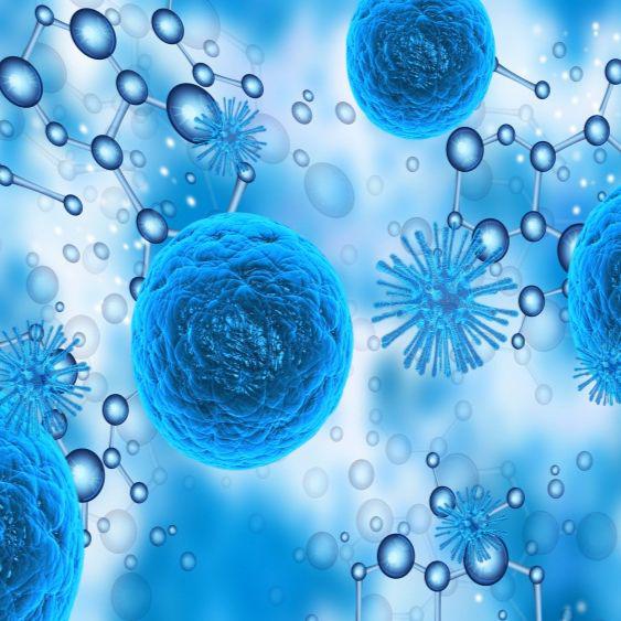 基因敲除多克隆细胞株