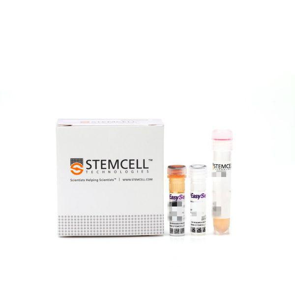 EasySep™小鼠NK细胞分选试剂盒