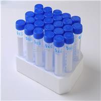 嗅觉受体家族10亚基J3抗体