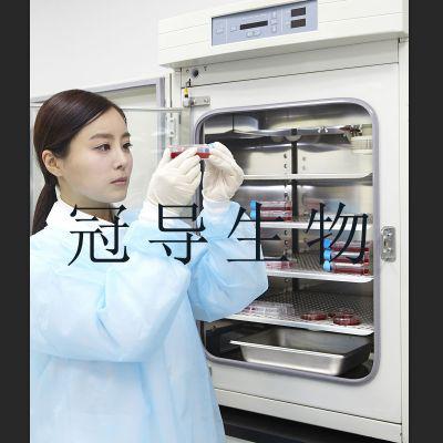 双抗巧克力琼脂培养基成品直销