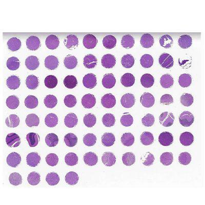 NCT741-正常脑组织芯片