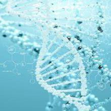 研选蛋白质组学检测