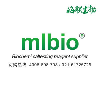 苏丹黑 B 染色液