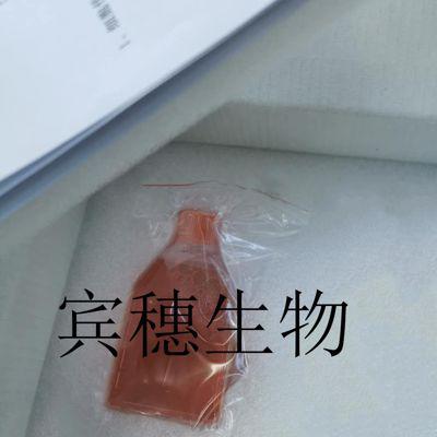TC-1 [Mouse lung];小鼠肺上皮扩增性好细胞|配套专用培养基